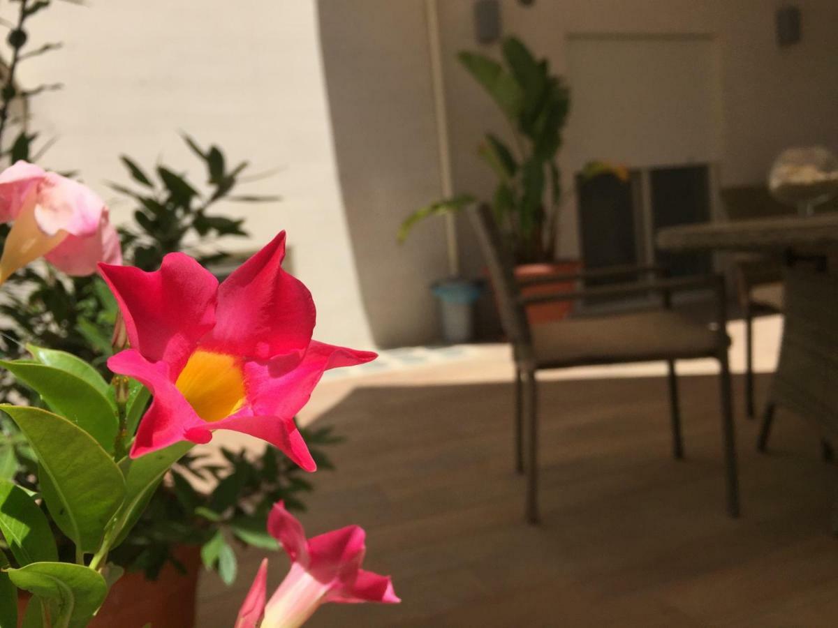 モノーポリ Casa Roberta Bed & Breakfast エクステリア 写真